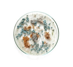Image with missing alt attribute found on guidechem.com