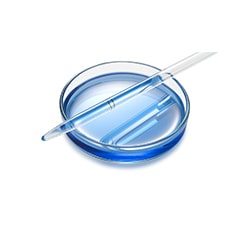Image with missing alt attribute found on guidechem.com