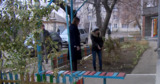 В Рыбнице собака погибла от удара током во время прогулки