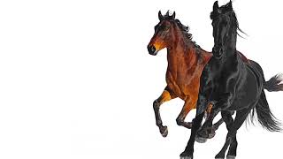 Lil Nas X - Old Town Road (feat. Billy Ray Cyrus) [remix]