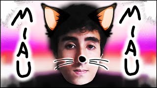 FELGATO 🐱 #5 [FINAL]