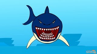 Sharks - Creepy Sea Creature Facts