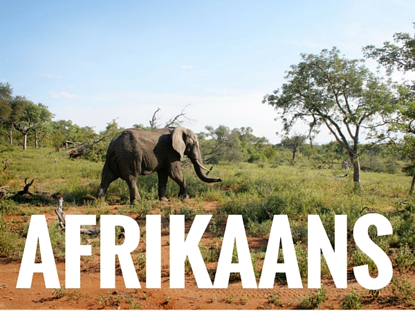 Learn Afrikaans
