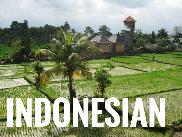 Learn Indonesian