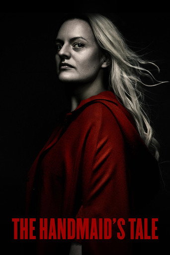The Handmaid's Tale image