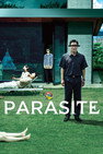 Image with missing alt attribute found on doramasflix.co