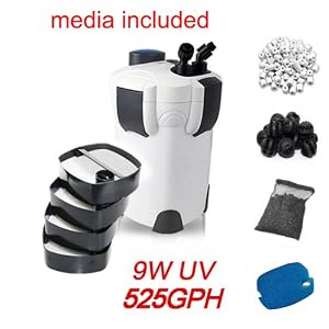 Image with missing alt attribute found on aquariumadviser.com
