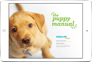 Image with missing alt attribute found on adoptapet.com