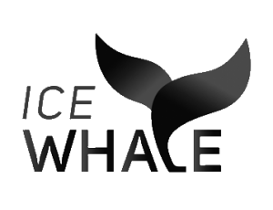 Ice Whale Iceland - Responsible Whale Watching