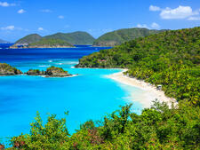 Image with missing alt attribute found on cruisecritic.com