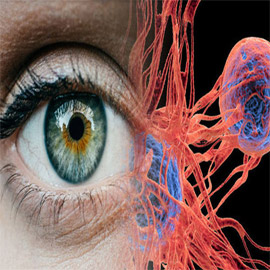 Image with missing alt attribute found on farfeshplus.com