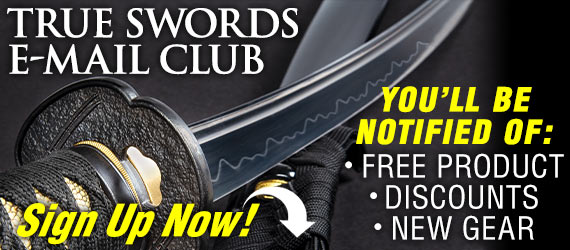 Image with missing alt attribute found on trueswords.com