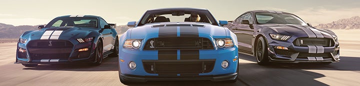 Mustang Evolution Forum banner
