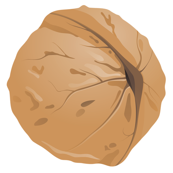 Walnut Clipart