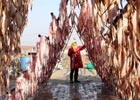 Image with missing alt attribute found on gmw.cn