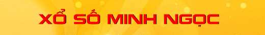 Image with missing alt attribute found on minhngoc.net