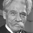 Frases de Albert Schweitzer