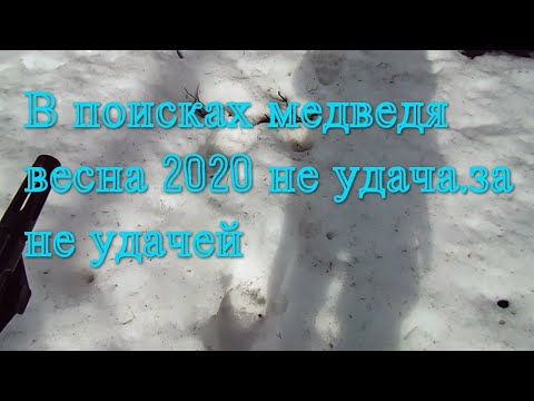 В поисках медведя или охота на медведя с зсл