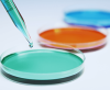 Image with missing alt attribute found on biomart.cn