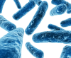 Image with missing alt attribute found on biomart.cn