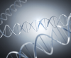 Image with missing alt attribute found on biomart.cn