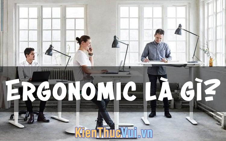 Ergonomic l&agrave; g&igrave;? T&igrave;m hiểu về Ergonomic