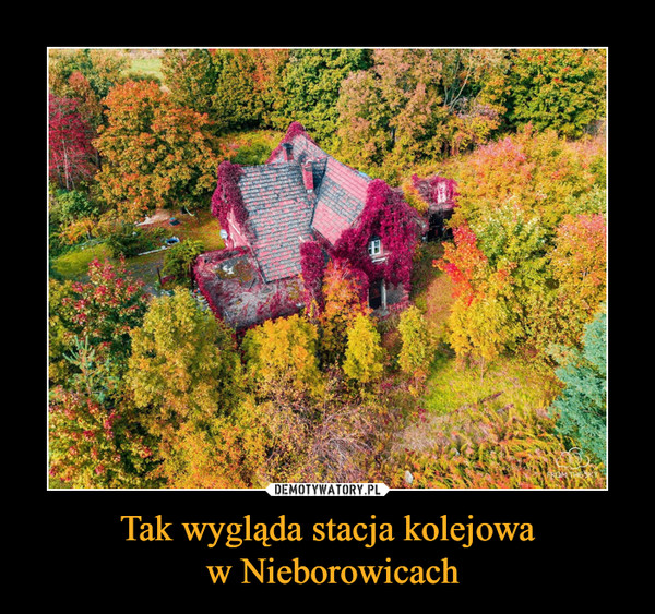 Tak wygląda stacja kolejowa w Nieborowicach &ndash;