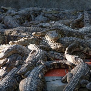 Image with missing alt attribute found on smartmoney.com
