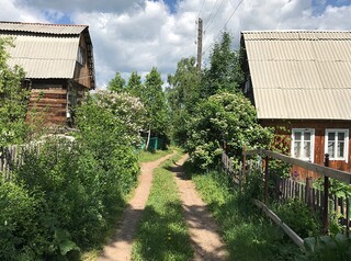 Image with missing alt attribute found on sibdom.ru