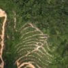 Image with missing alt attribute found on mongabay.com