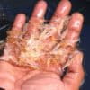 Image with missing alt attribute found on mongabay.com