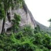 Image with missing alt attribute found on mongabay.com
