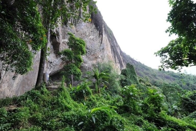 Image with missing alt attribute found on mongabay.com