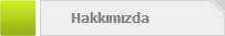 Image with missing alt attribute found on indirads.org