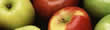 Image with missing alt attribute found on infoagro.com