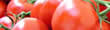 Image with missing alt attribute found on infoagro.com