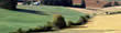 Image with missing alt attribute found on infoagro.com