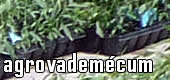 Image with missing alt attribute found on infoagro.com