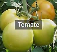 Image with missing alt attribute found on infoagro.com