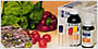 Image with missing alt attribute found on infoagro.com