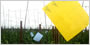 Image with missing alt attribute found on infoagro.com