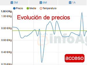 pizarra de precios de hortalizas de alhondigas de almeria