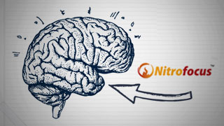 Nitrofocus