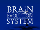 Brain Evolution