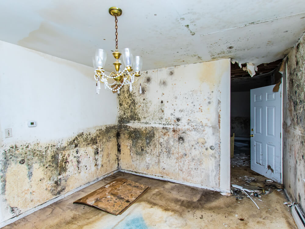 Property Inspection App