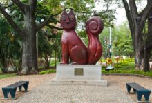 Photo of 12 Lugares Tur&iacute;sticos de Cali