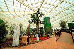 One Million Visit Dubai&rsquo;s Quranic Park Since Its Launch