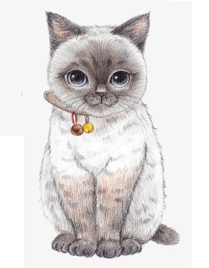 猫のイラスト