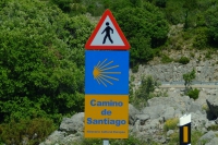 DSCF2875
