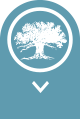 Image with missing alt attribute found on kiawahresort.com